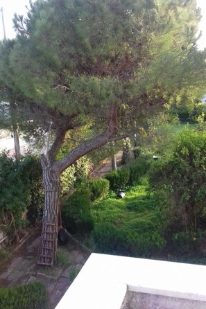 Property grounds - Villa Alma Wohnung in Villa by Interhome (Bari)