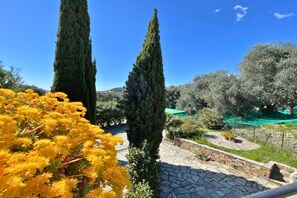 Property grounds - Poolside Apartment in Italian Villa (San Lorenzo - Civezza)