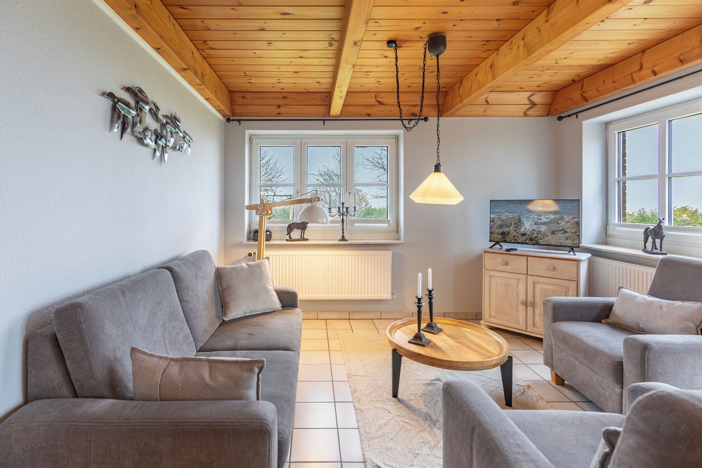 Televisión, reproductor de DVD, libros, estéreo