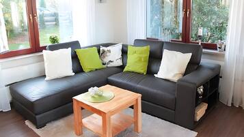 Télévision, cheminée, lecteur de DVD, chaßne hi-fi