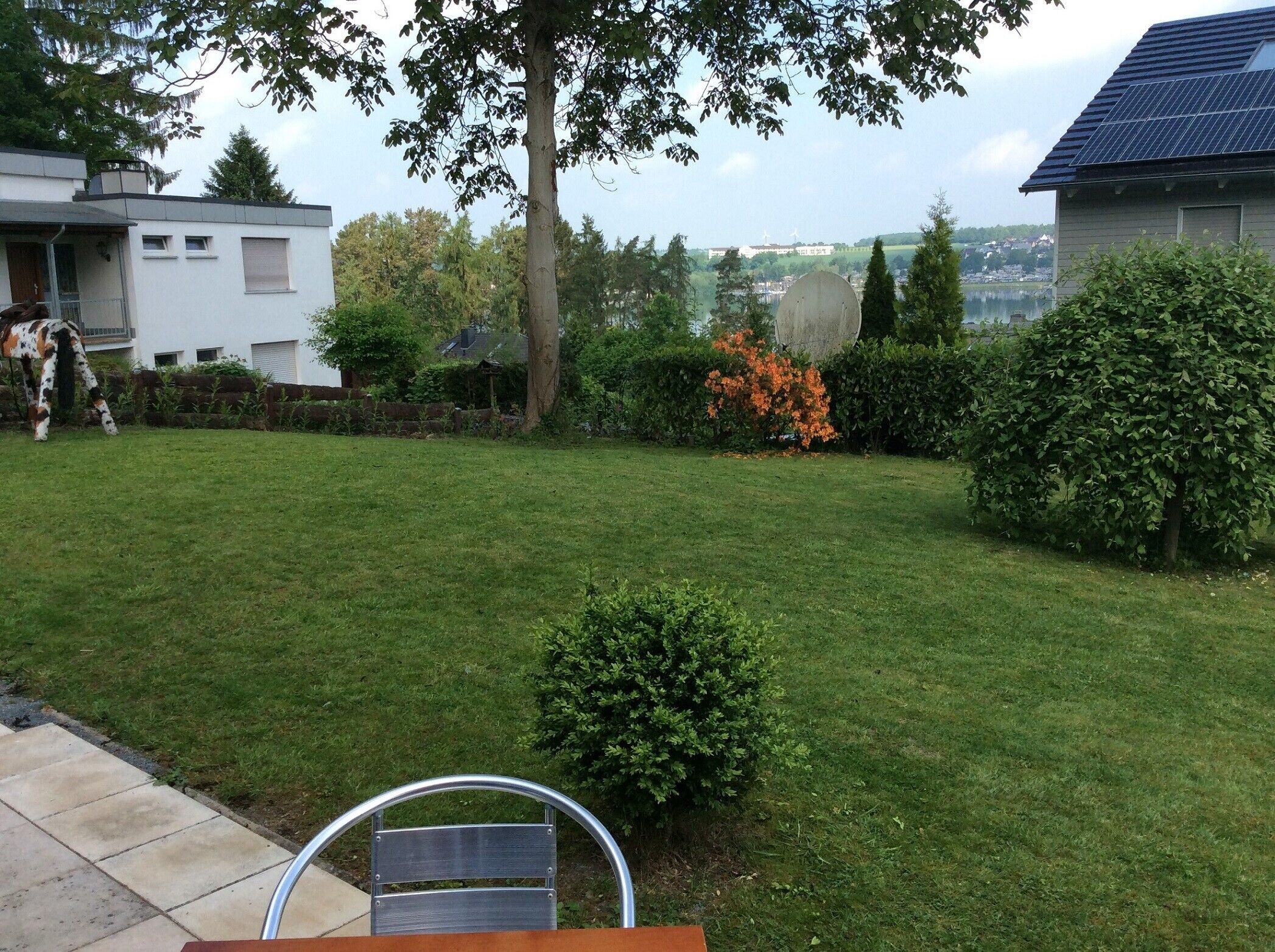 A residential backyard with a lawn, a small tree, and a metal bench.