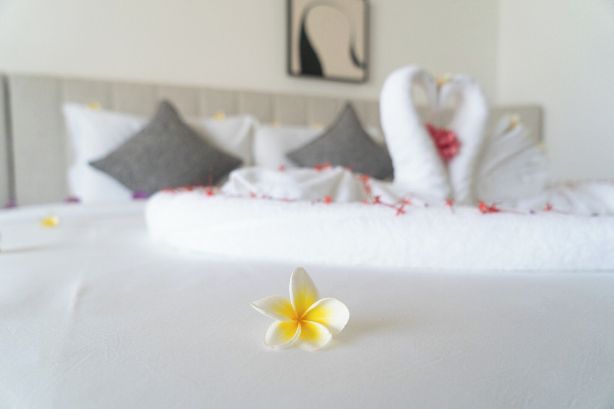 Standard Double Room | Desk, free WiFi