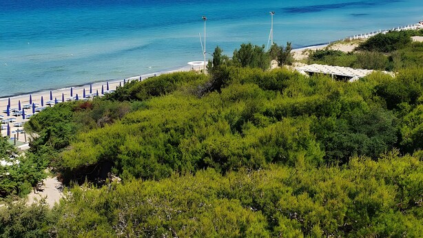 Vista costera con playa, sombrillas y un paisaje urbano en la distancia.