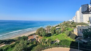 Vista costera con playa, vegetación y edificios altos.