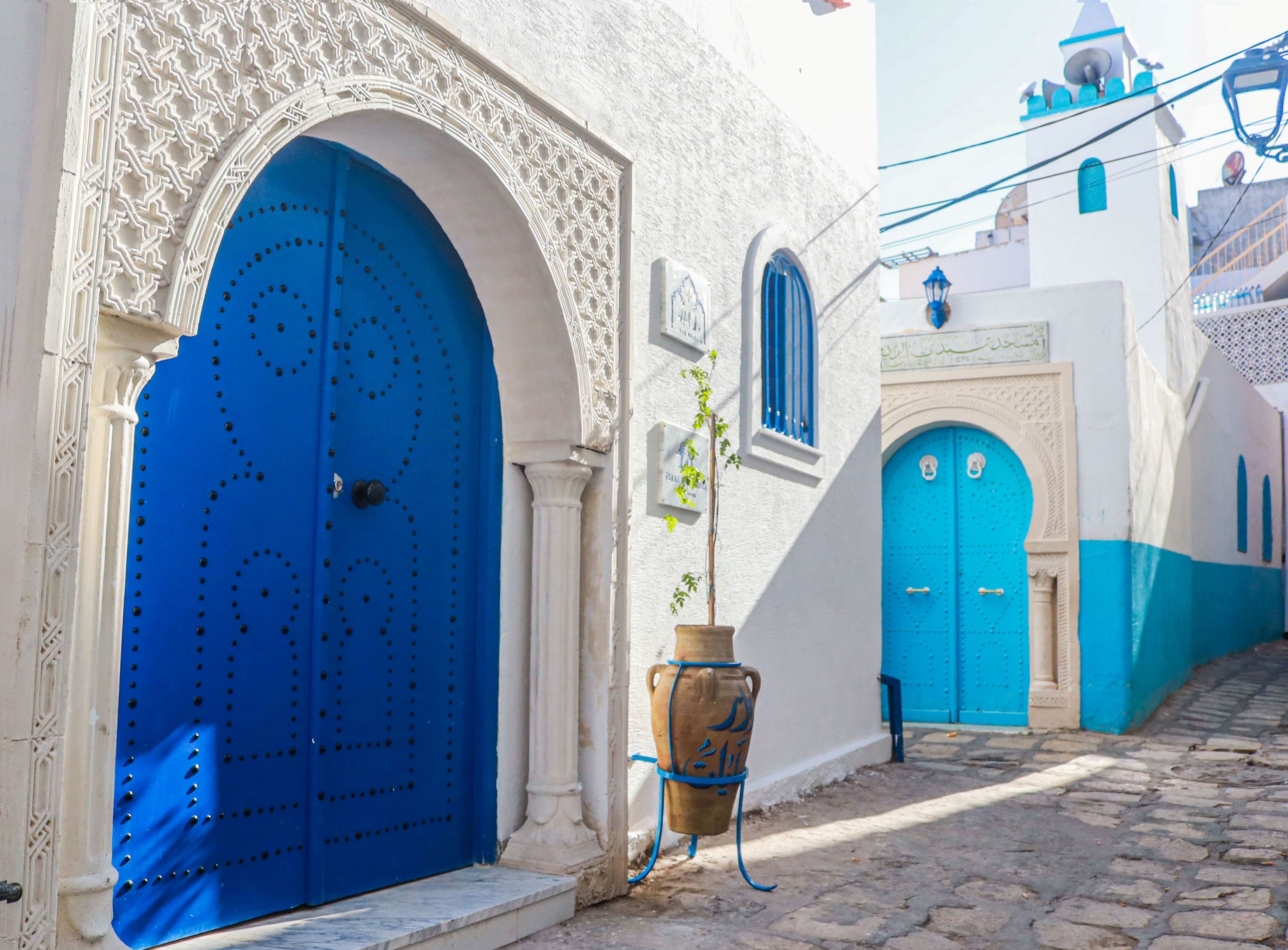 A narrow street with blue doors and white walls, a potted plant, and a cobblestone path.
