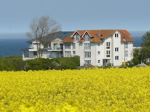 Un edificio grande de color blanco con techo rojo, múltiples ventanas y balcones, ubicado cerca de un campo de flores amarillas y con vistas al mar.