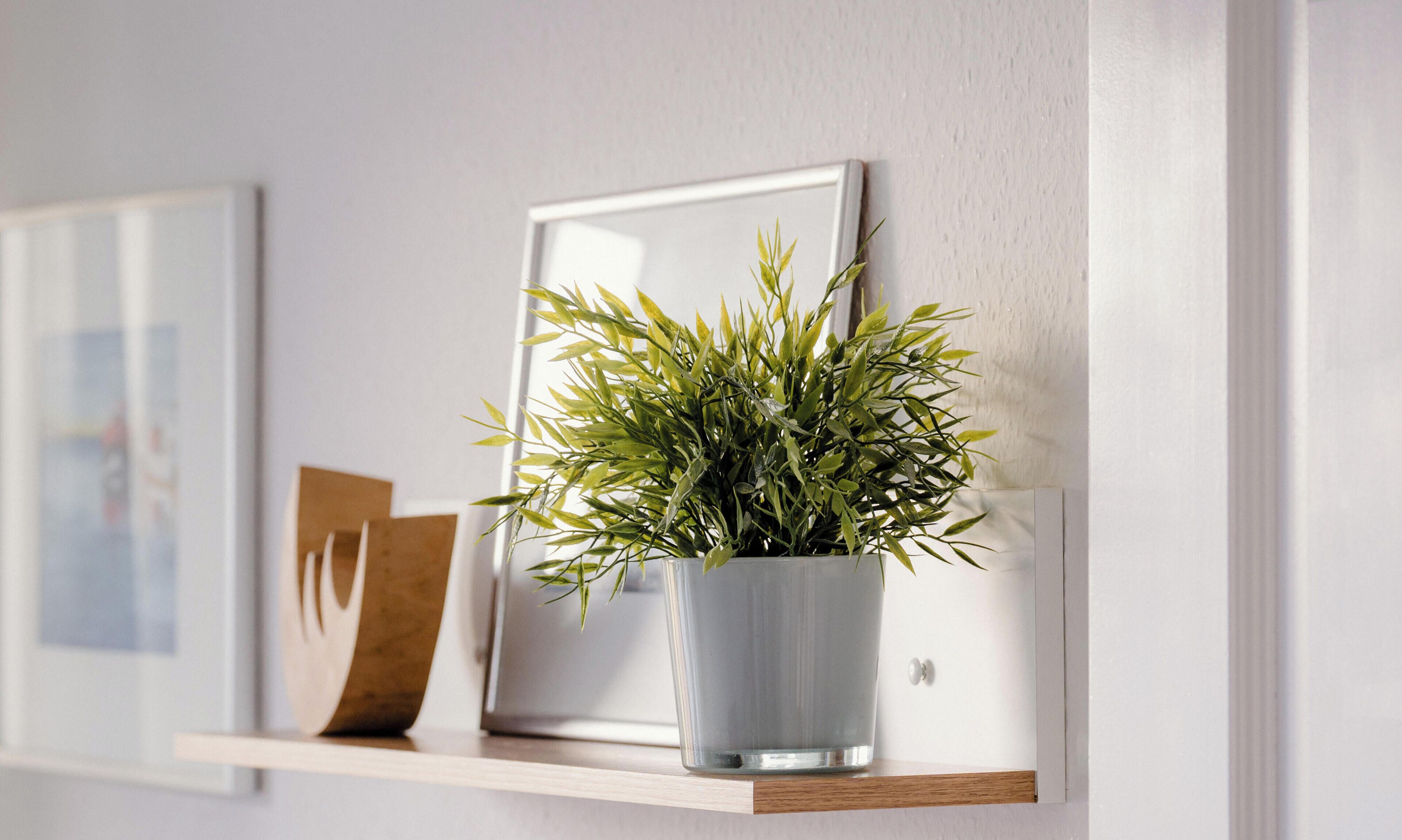 A shelf with a potted plant, a framed picture, and a wooden board.