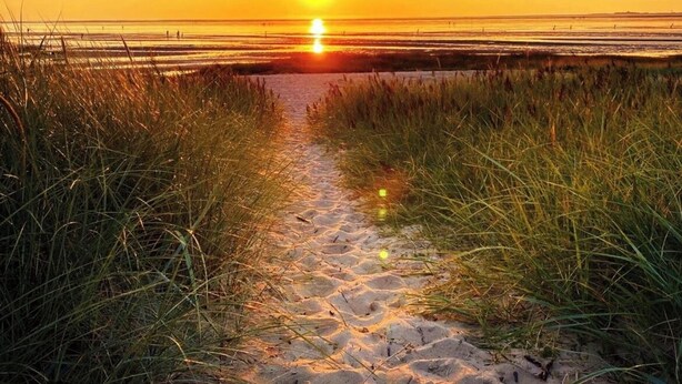 Un sendero en la playa que conduce al océano, con un atardecer de fondo.