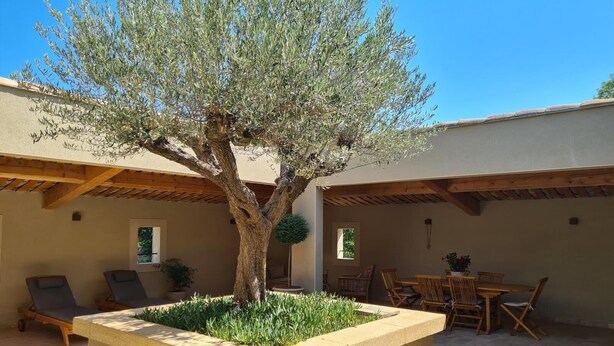 Un patio exterior con un árbol grande, sillones de descanso y una mesa de comedor.