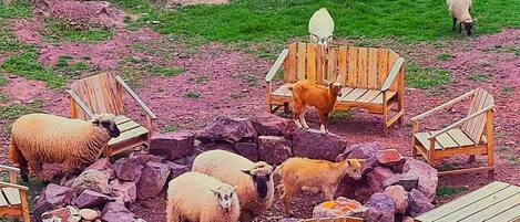 Enceinte de l’hébergement
