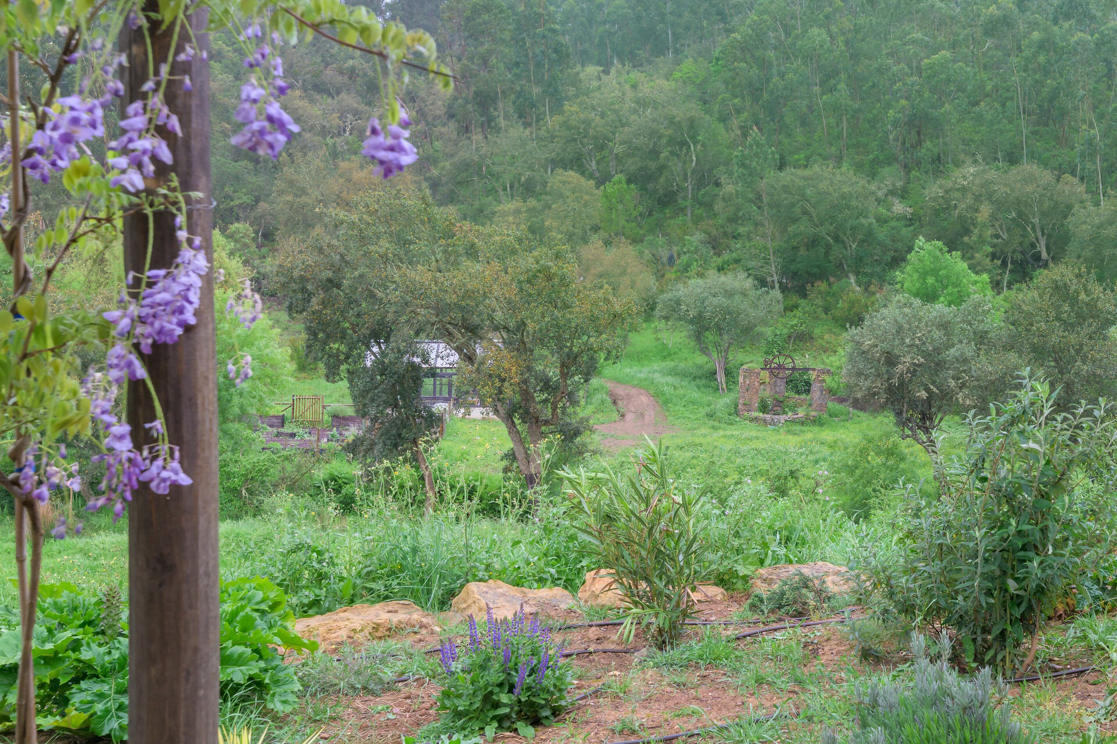 Overnatningsstedets område