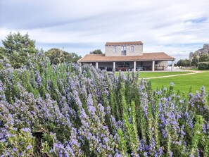 Property grounds - La Stalla by Interhome (Tempio Pausania)