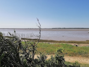 A coastal landscape with a sandy beach, sparse vegetation, and a clear sky. - Quiet house in L'Aiguillon-sur-Mer for 4 people with pets allowed (L'Aiguillon-sur-Mer)