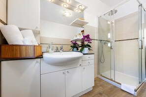 Shower, hair dryer, towels