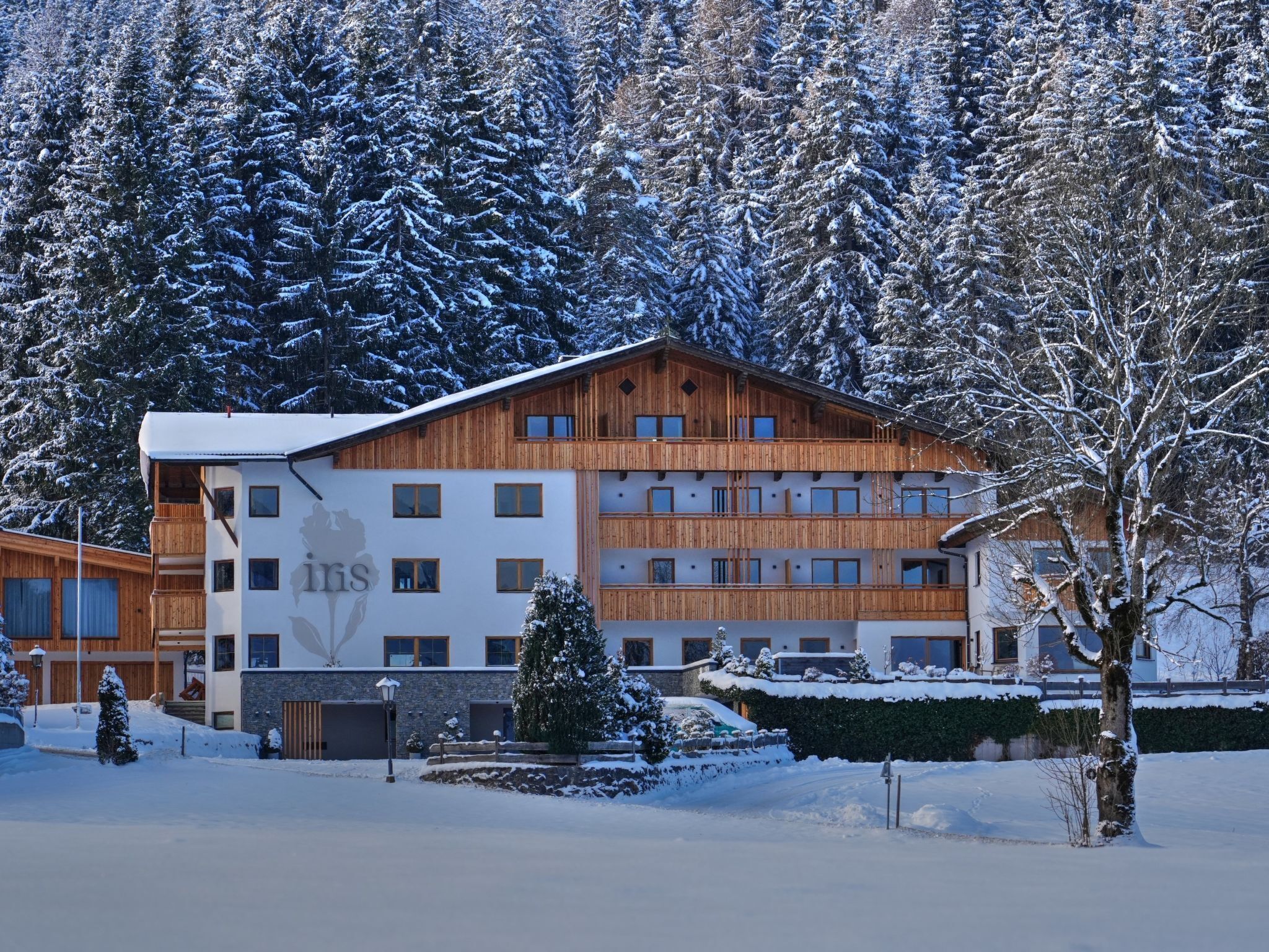 Un edificio de varios pisos con fachada de madera y numerosas ventanas, rodeado de árboles cubiertos de nieve.