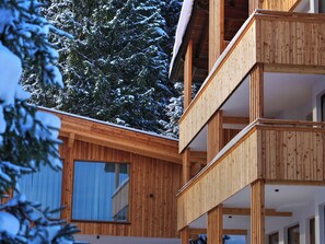 Exterior - Aparthotel Iris by Interhome (Auffach)