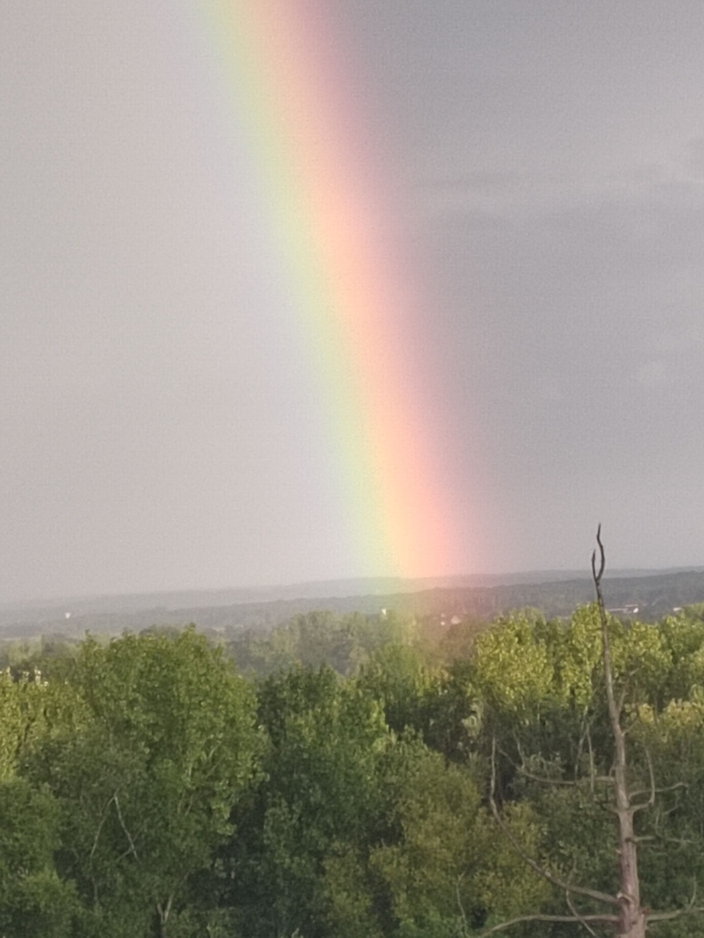 Un paysage avec un arc-en-ciel au-dessus d’une zone boisée.