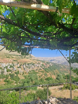 Vista des de l'allotjament