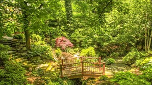 Un jardin agrémenté d’un pont en bois, d’escaliers en pierre et d’une végétation luxuriante.
