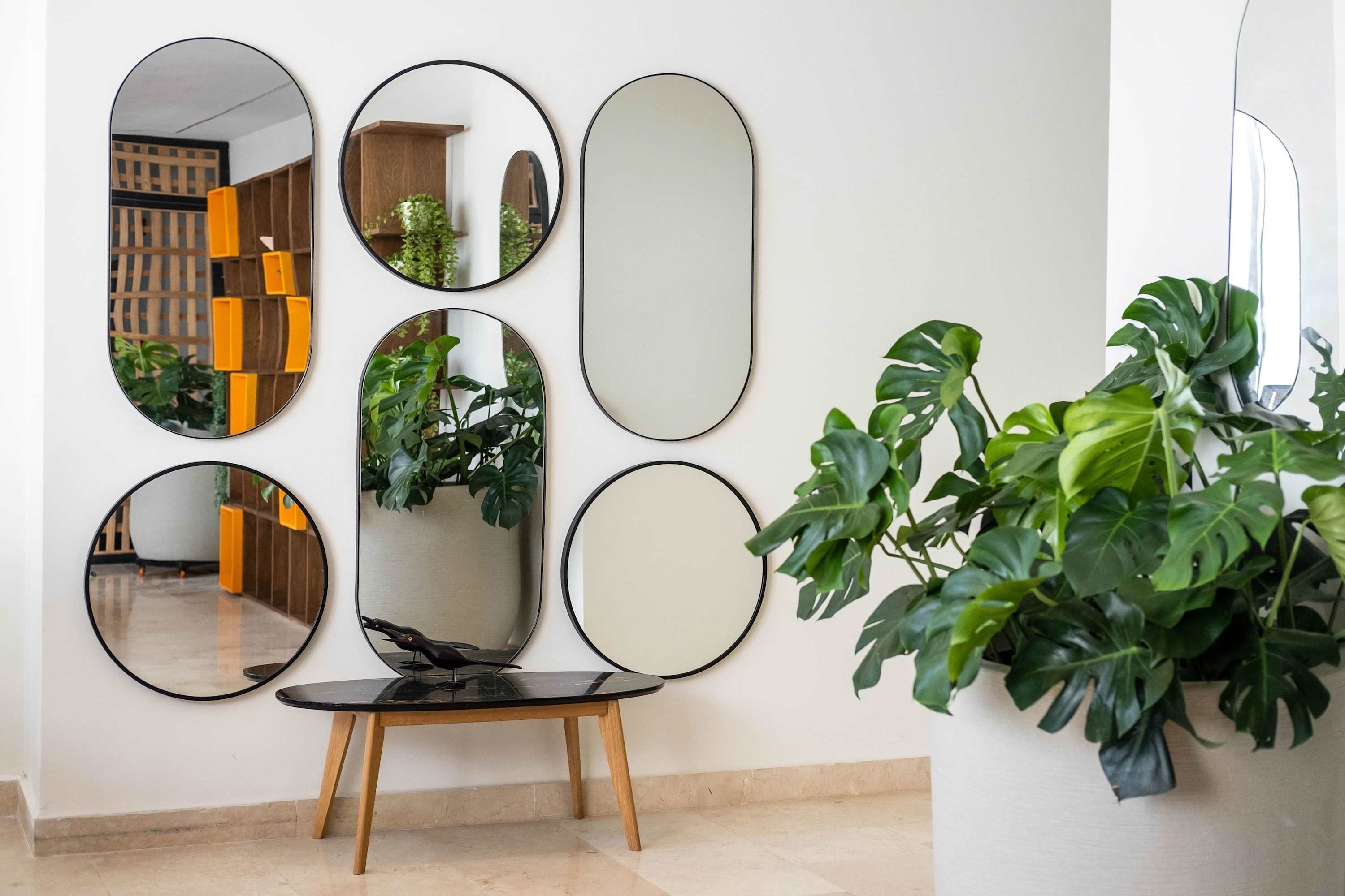 A wall with multiple round mirrors and a potted plant.