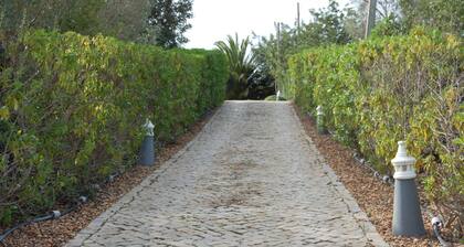 Villa Monte Alegrete With sea View