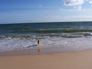 Villa, 4 Bedrooms, Accessible, Smoking | Beach - Villa Monte Alegrete With sea View (Faro)