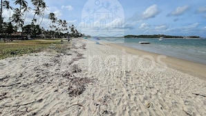 A beach with palm trees, a sandy shore, and a boat in the water. - Atlantico Praia dos Carneiros - Proximo da Igrejinha (Tamandaré)