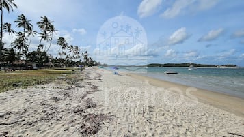 Estudio familiar | Playa