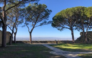 Property grounds - Amazing home in Castiglion Fiorentino (Castiglion Fiorentino)