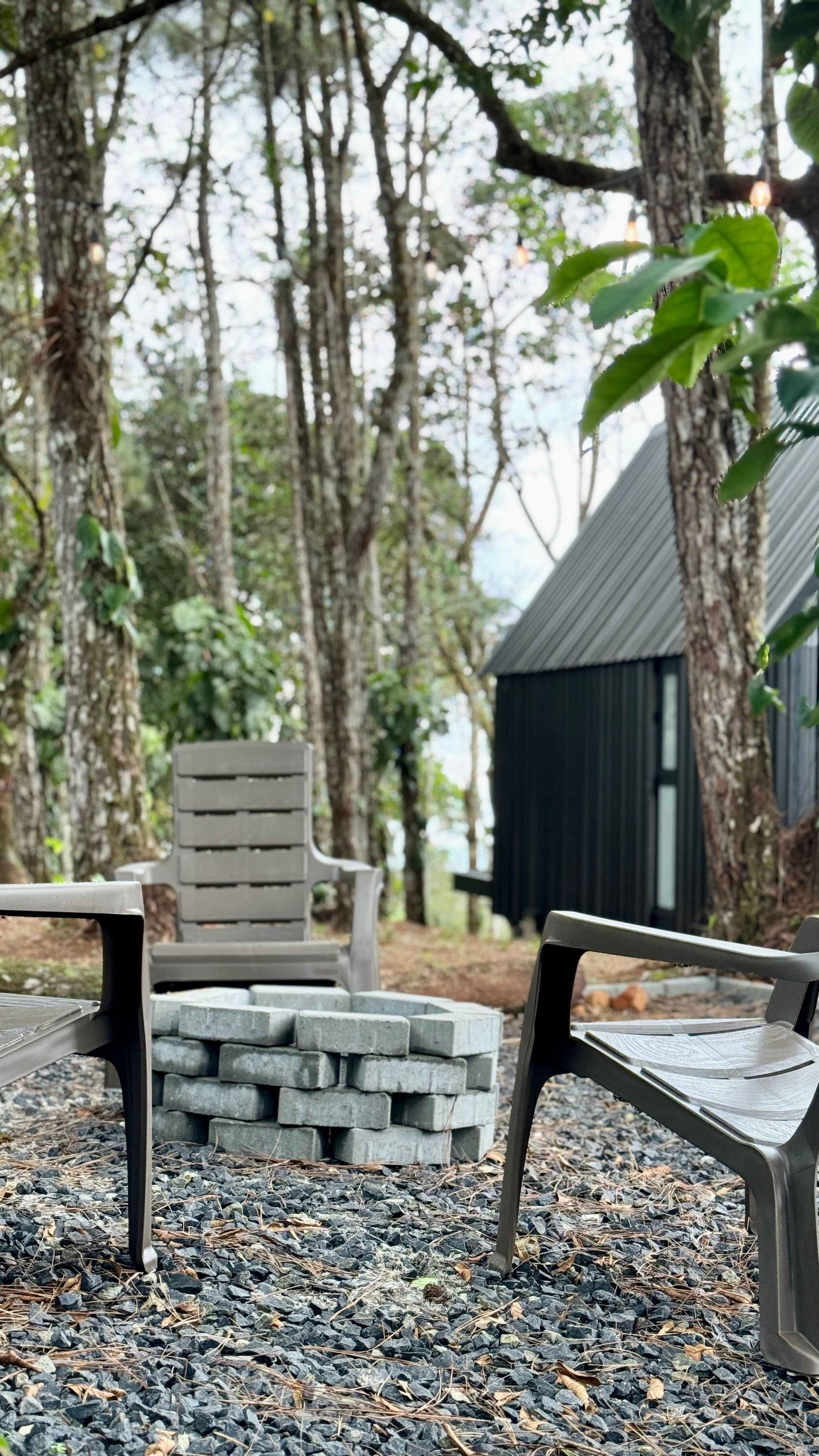 开间 | 1 多间卧室、高速上网