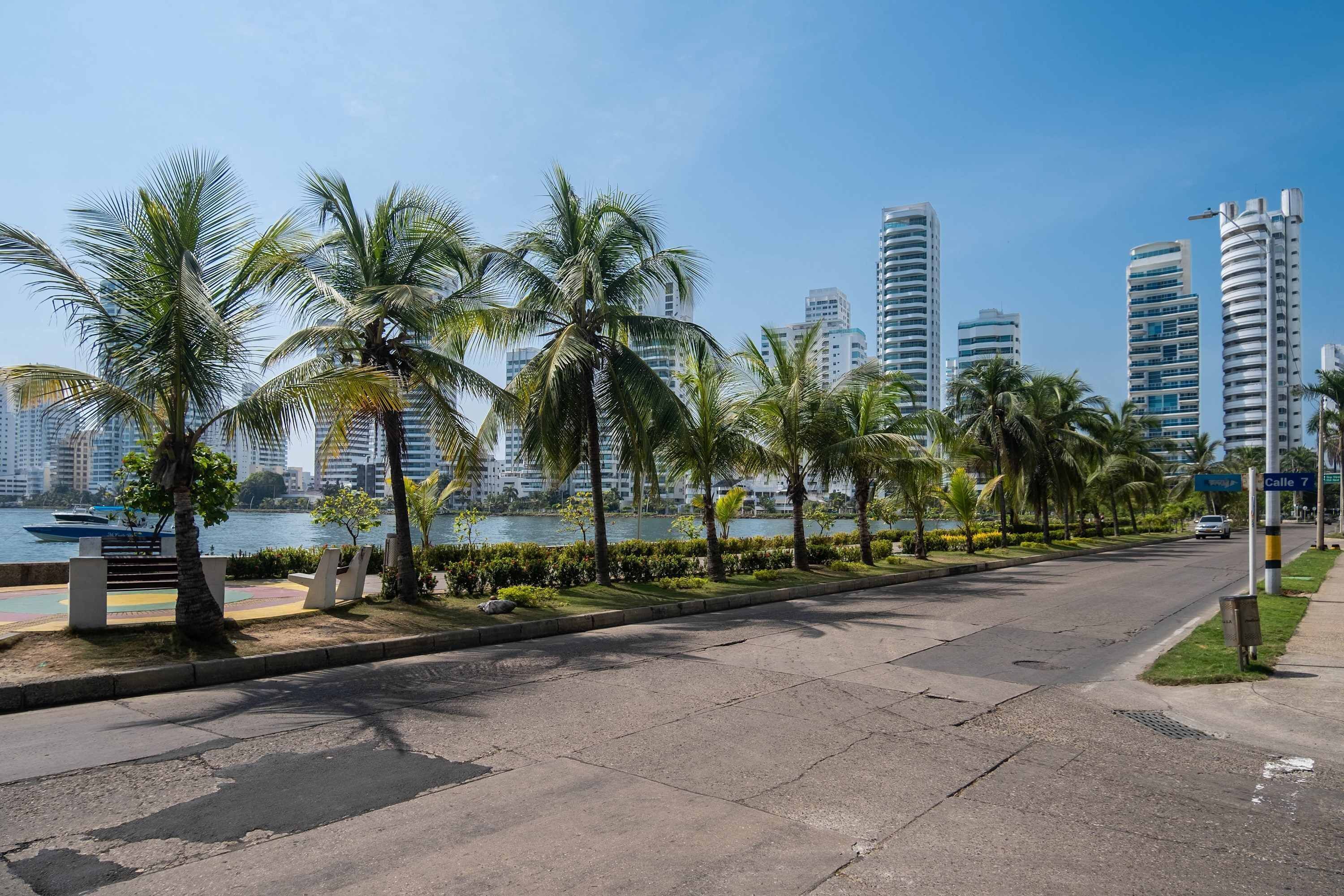A city street with palm trees, a waterfront, and modern high-rise buildings.