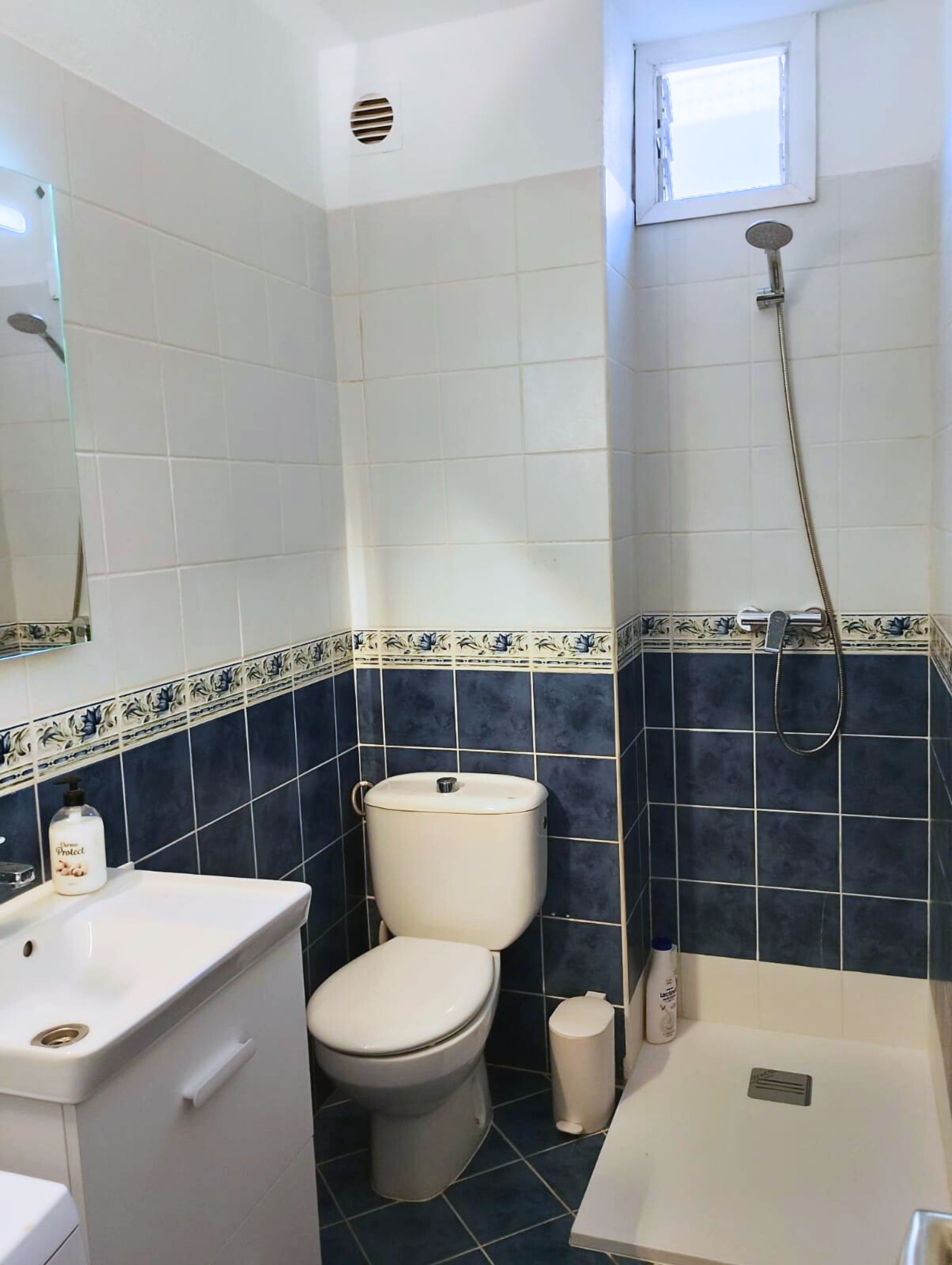 Appartement, roken | 1 slaapkamer