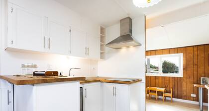 Araucarias in San Cristobal de La Laguna