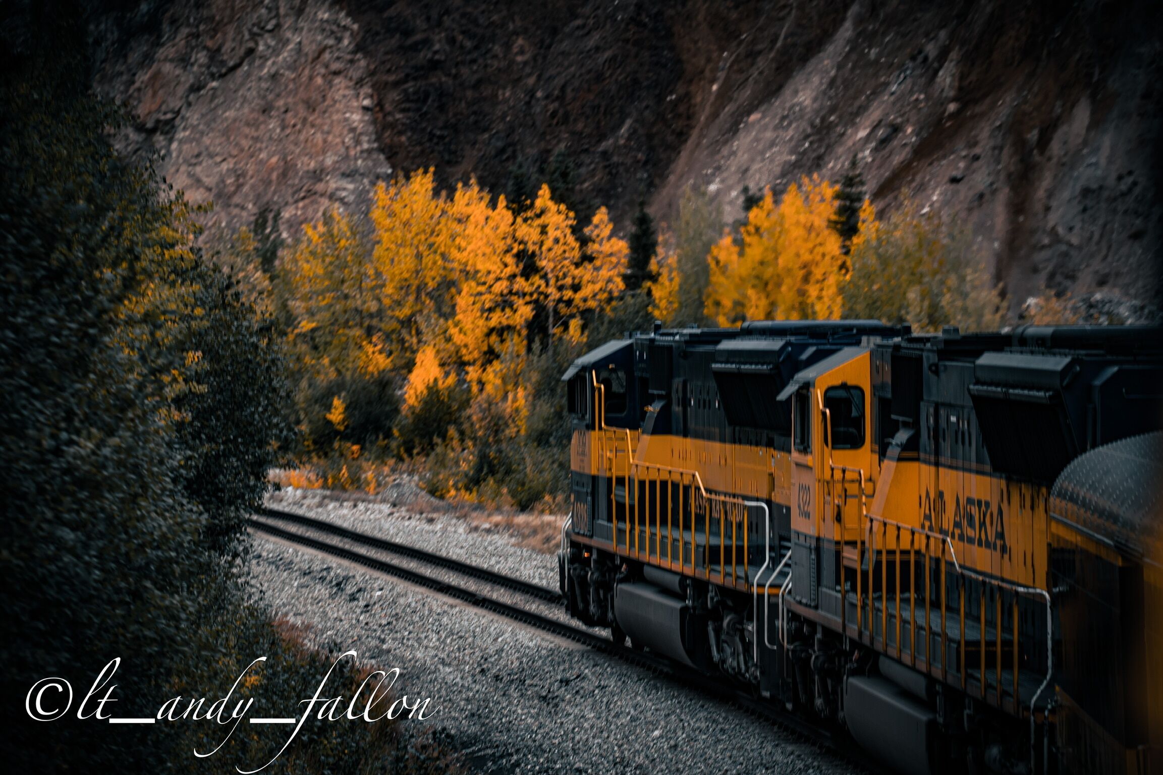 Un train sur lequel on peut lire le mot «Alaska» sur le côté, circulant sur des voies ferrées bordées d’arbres aux couleurs automnales.