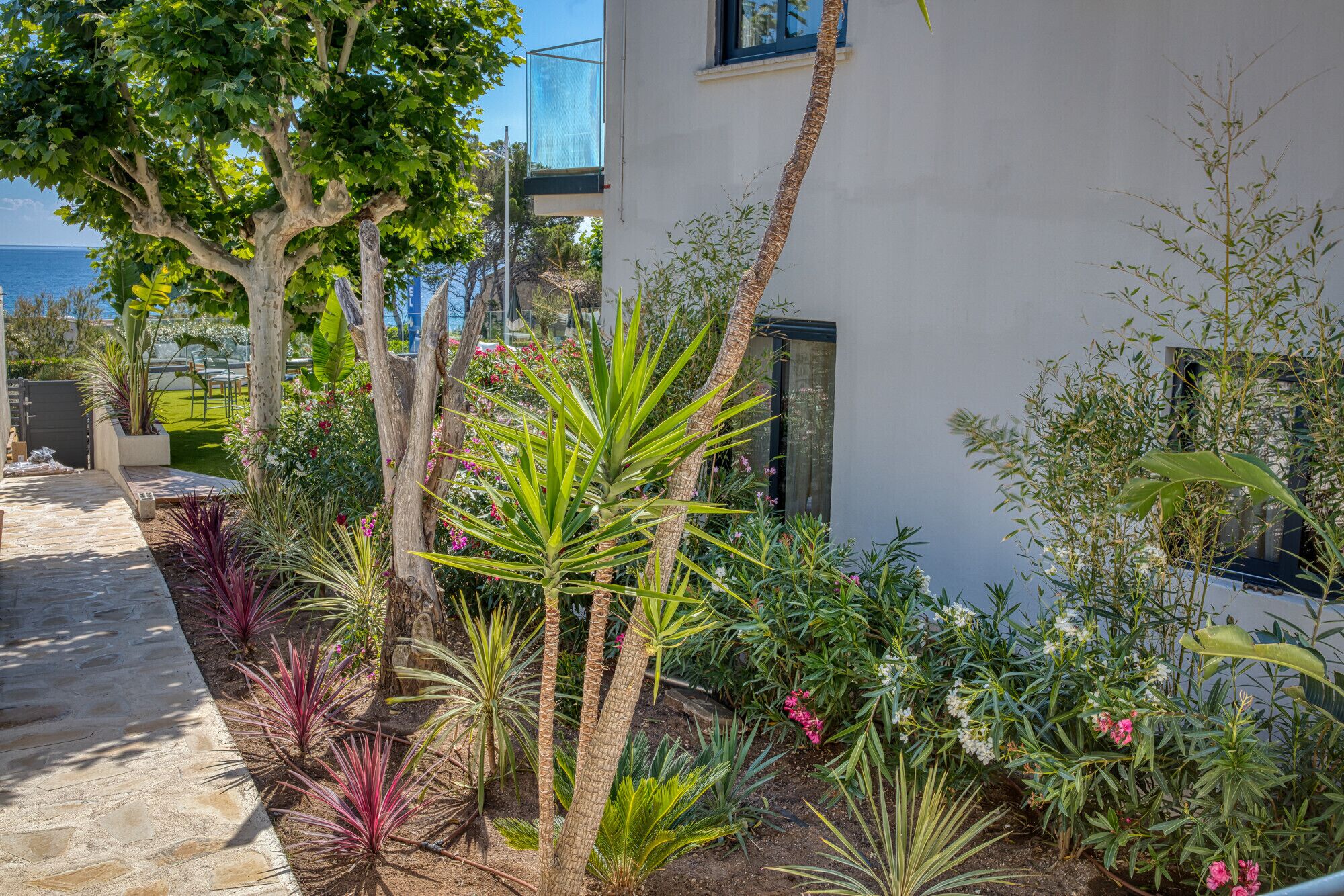 A garden with various plants and a pathway leading to a building.