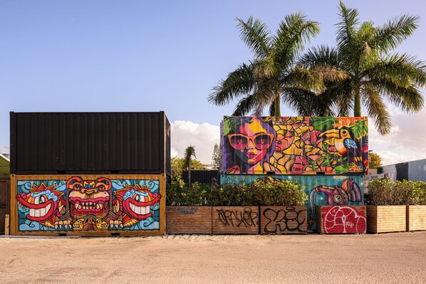 Dos murales coloridos en edificios, uno con un diseño de dragón y otro con una mujer y palmeras.