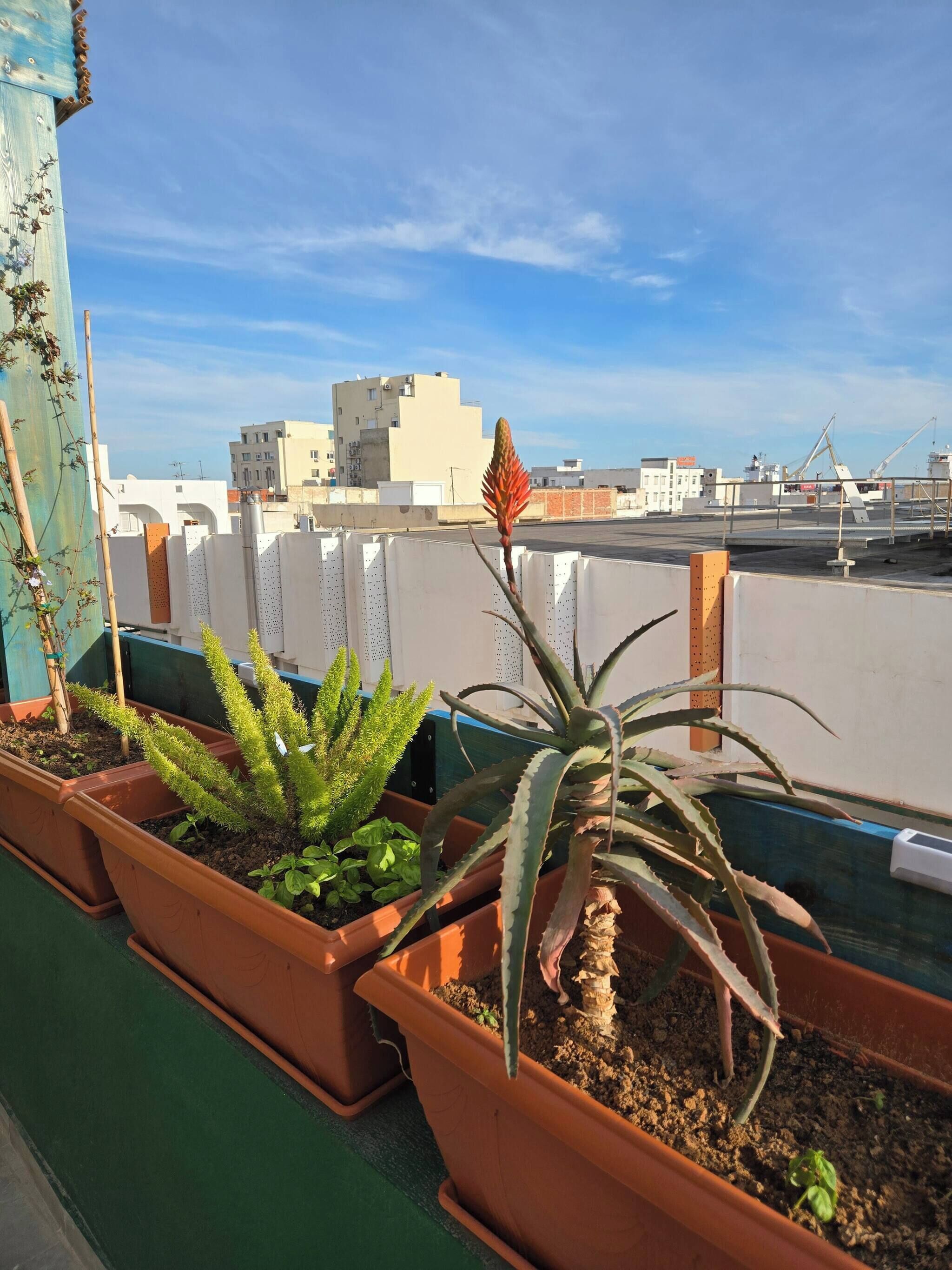 Apartment, 2 Bedrooms, Smoking, Balcony | Property grounds