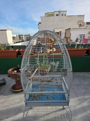 Apartment, 1 Bedroom, Smoking, Balcony | Property grounds - The Graziano 2 House (Sousse)