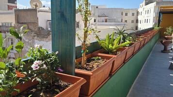 Apartment, 1 Bedroom, Smoking, Balcony | Balcony