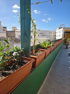 Appartement, 1 chambre, fumeur, balcon | Balcon
