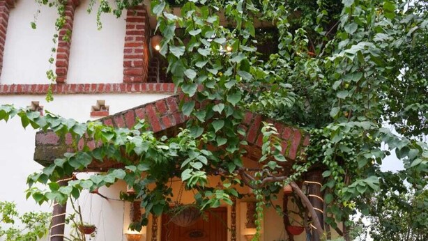 Un edificio tradicional con puerta de madera, arcos de ladrillo y plantas en macetas alrededor de la entrada.