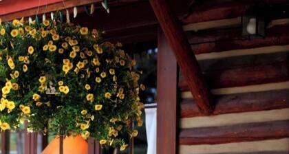 House on High - In Town - Fireplace - Mountain Views