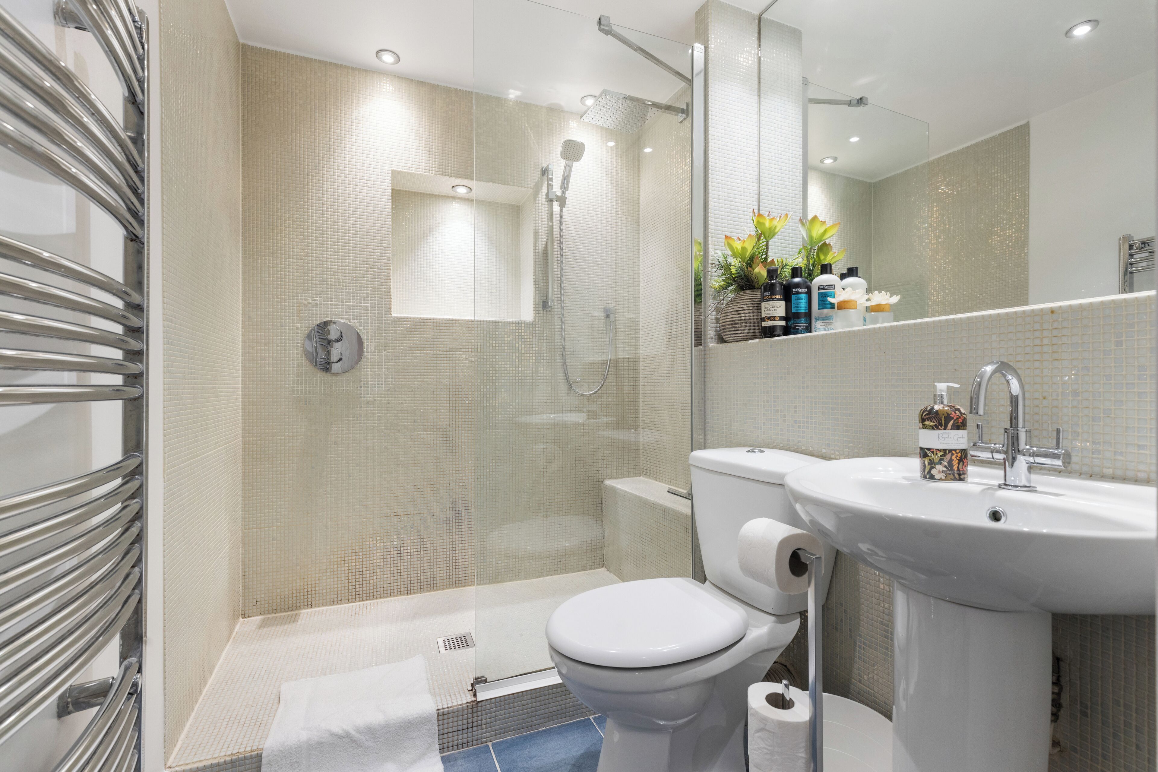 Shower, hair dryer, soap, toilet paper