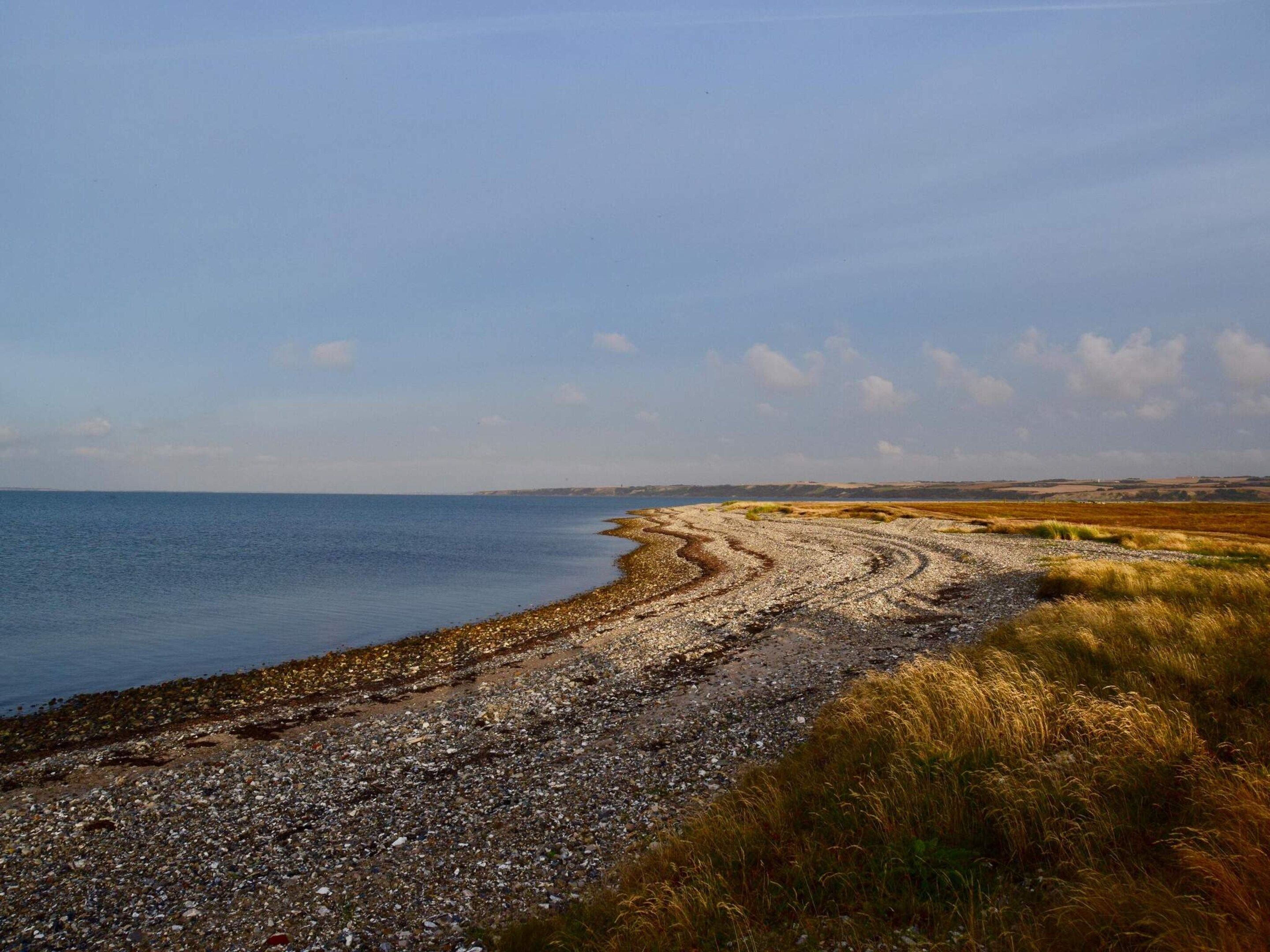 A coastal landscape with a pebble beach leading to the sea, surrounded by grassy fields.