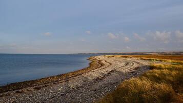A coastal landscape with a pebble beach leading to the sea, surrounded by grassy fields.