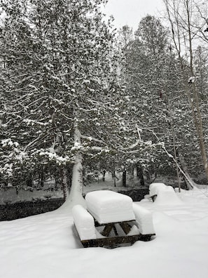 Property grounds - Cozy 4br 3 bath home with acreage and a creek just minutes from Boyne Mountain (East Jordan)