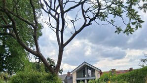 Een gazon met een boom, een huis op de achtergrond en een persoon die op het gras ligt.