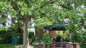 Een tuin met een boom, een houten tafel en een groene parasol.