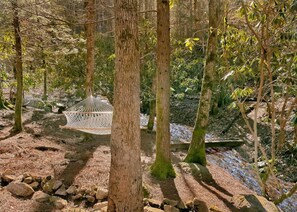Property grounds - Peaceful 2BR w/Stream*Hot Tub*Fireplace*Fire Pit (Pigeon Forge)