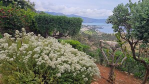 Kystlandskab med havudsigt, en stenvæg og varieret vegetation, herunder hvide blomsterbuske og træer.